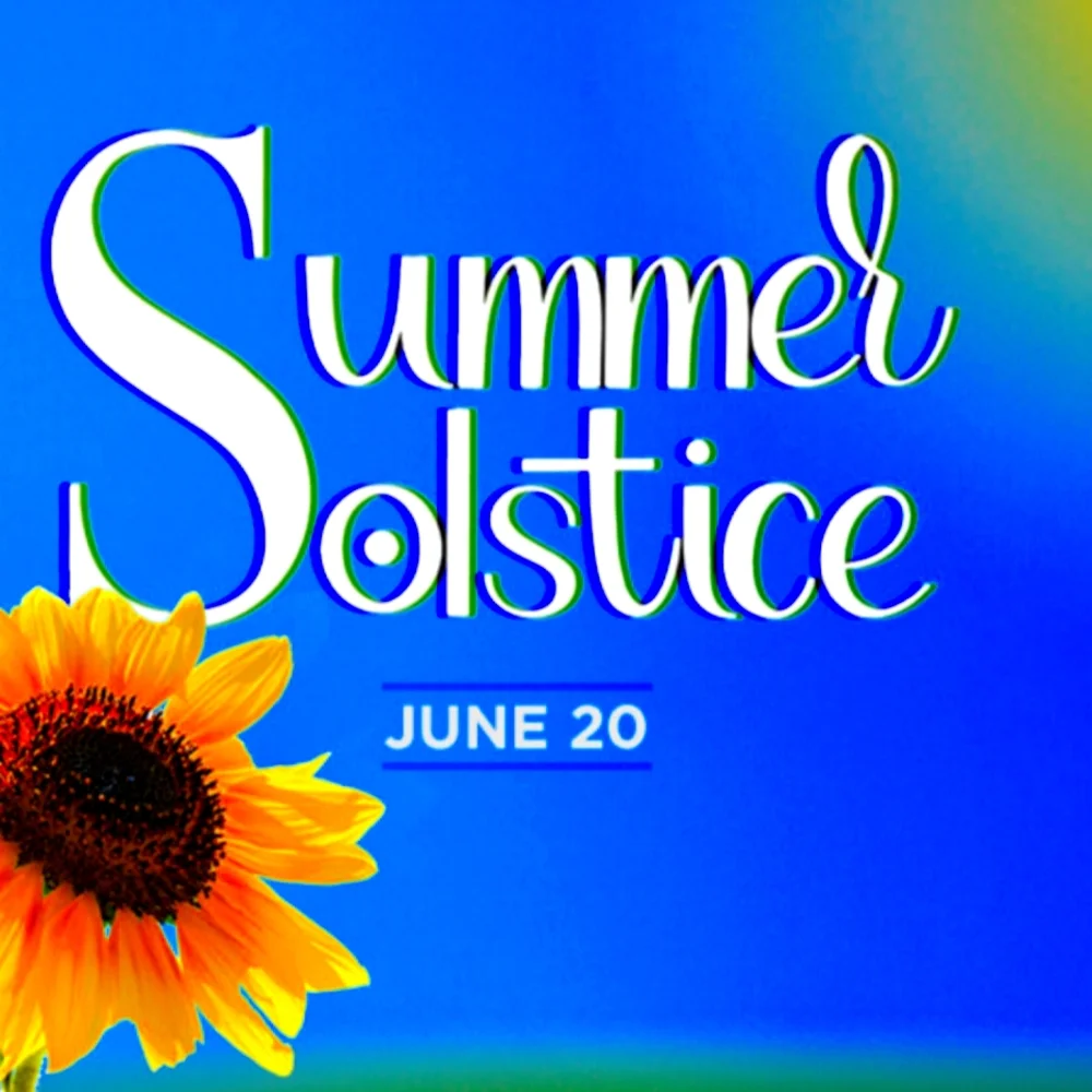 🌍🌎🌏EARTH DAY SALE!!! SAVE 50% OFF PLUS REDUCED SHIPPING FOR $9.99! - Picture 15 of 15